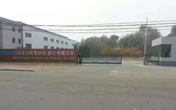 營口蘑菇传媒视频网址入口下载